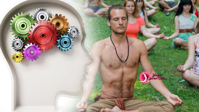 The Timeless Wisdom of Sages: the Living Creatures for an Amazing Fulfilling Life